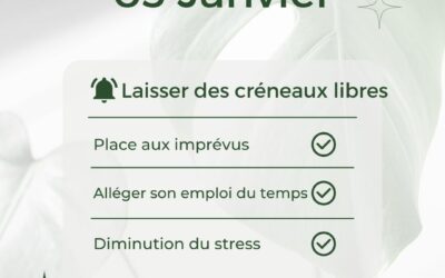 03.01 LES CRENEAUX LIBRES