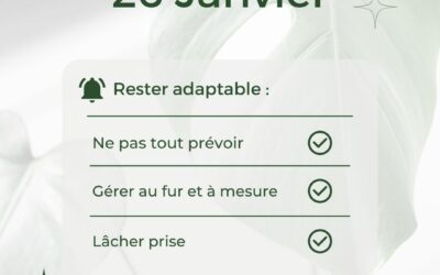 26.01 RESTER ADAPTABLE