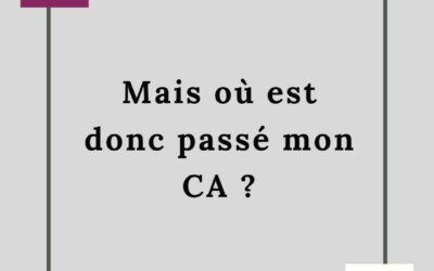 MAIS OU EST DONC PASSE MON CHIFFRE D’AFFAIRES